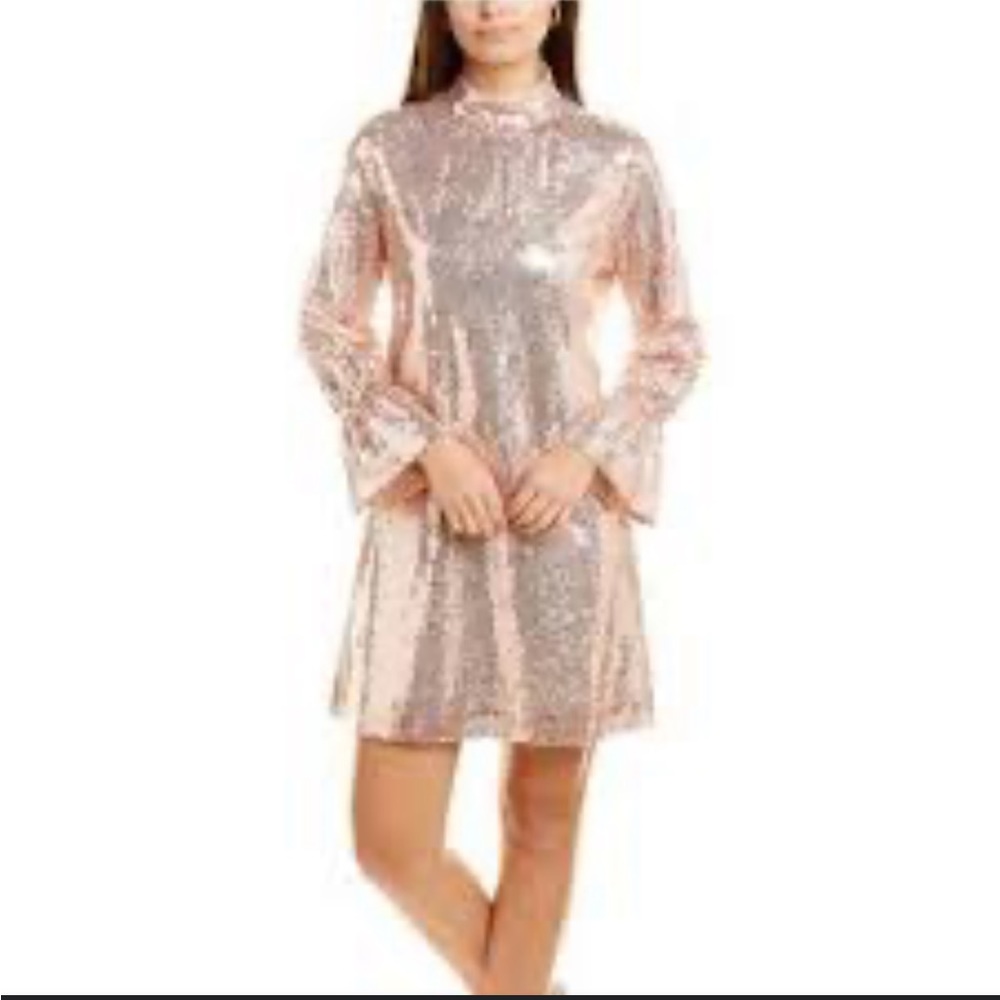 Tyler Boe Rose Gold Sequin Dress